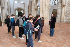 IMG-5de9619ad4d4438f0a877469b9877116-V